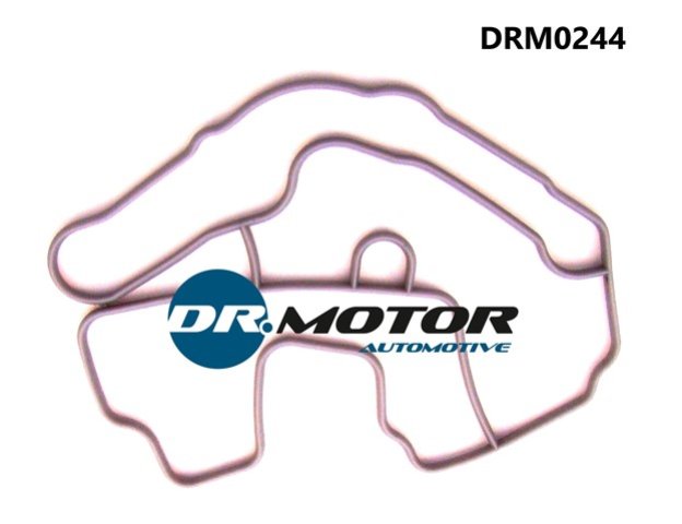 Dr.Motor DRM0244 Termostat gasket DRM0244