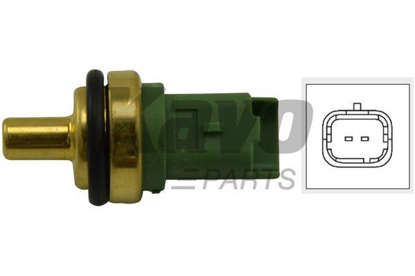 Buy Kavo parts ECT-4506 at a low price in United Arab Emirates!