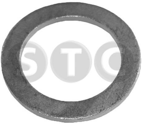 STC T402031 Plane washer T402031