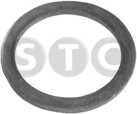 STC T402034 Plane washer T402034