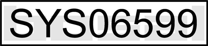 Bosal SYS06599 Exhaust system SYS06599