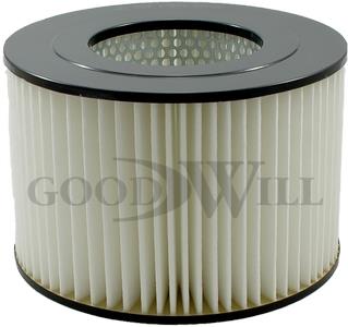 Goodwill AG 534 Air filter AG534
