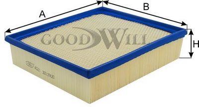 Goodwill AG 221 Air filter AG221