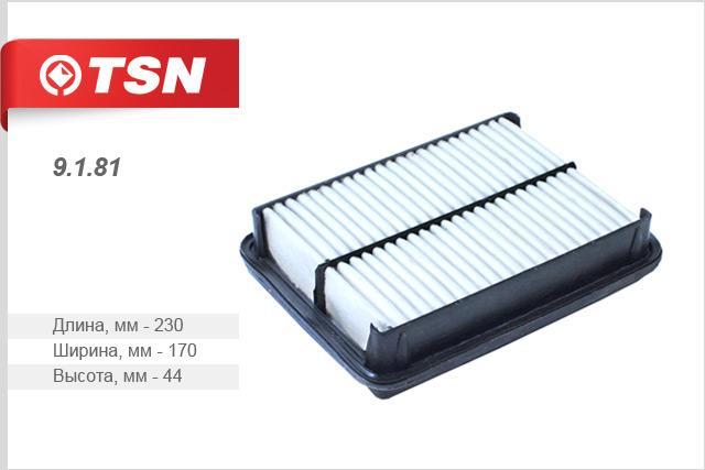TSN 9.1.81 Air filter 9181