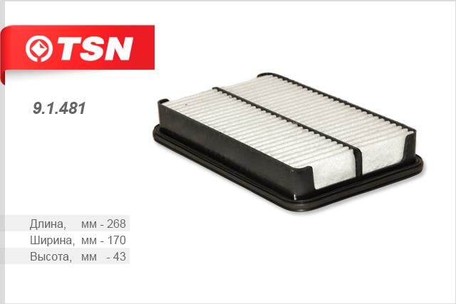 TSN 9.1.481 Air filter 91481
