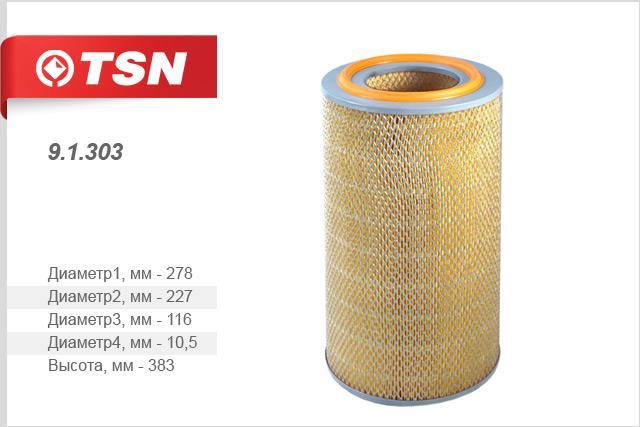 TSN 9.1.303 Air filter 91303
