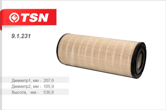 TSN 9.1.231 Air filter 91231