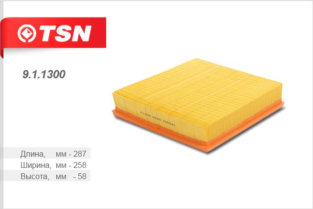 TSN 9.1.1300 Air filter 911300