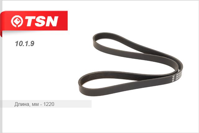TSN 10.1.9 V-Ribbed Belt 1019