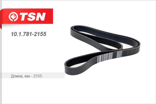 TSN 10.1.781-2155 V-Ribbed Belt 1017812155