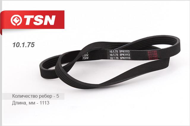 TSN 10.1.75 V-Ribbed Belt 10175