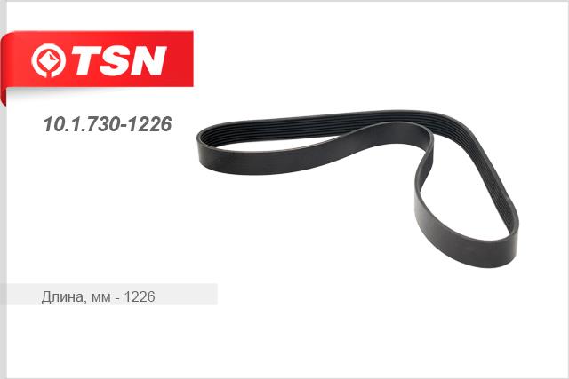 TSN 10.1.730-1226 V-Ribbed Belt 1017301226