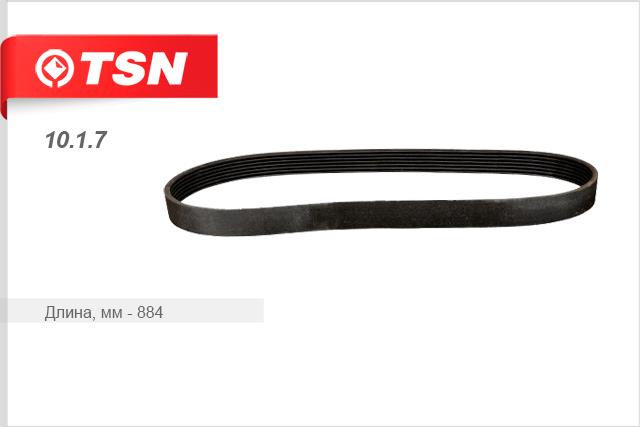 TSN 10.1.7 V-Ribbed Belt 1017