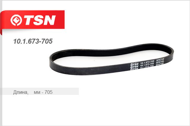 TSN 10.1.673-705 V-Ribbed Belt 101673705