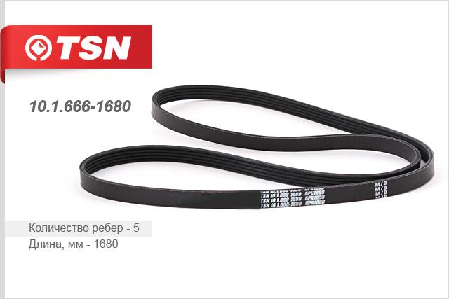 TSN 10.1.666-1680 V-Ribbed Belt 1016661680