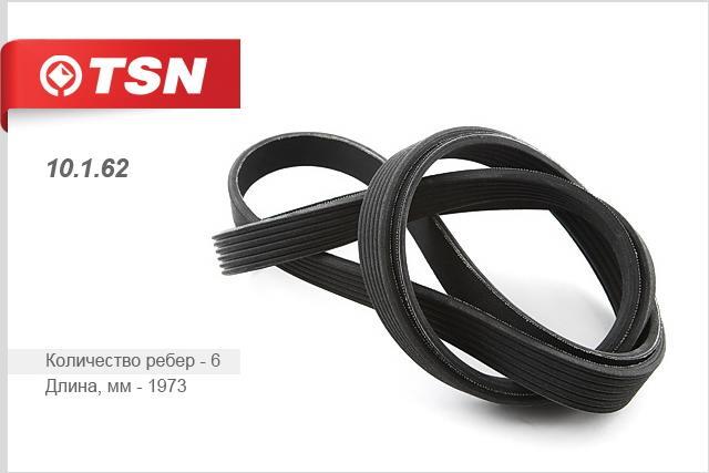 TSN 10.1.62 V-Ribbed Belt 10162