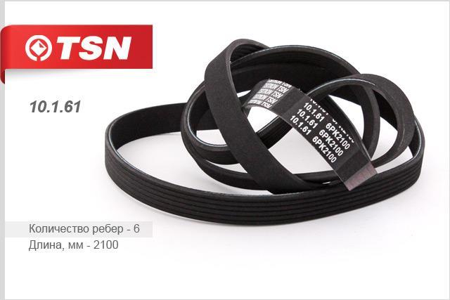 TSN 10.1.61 V-Ribbed Belt 10161