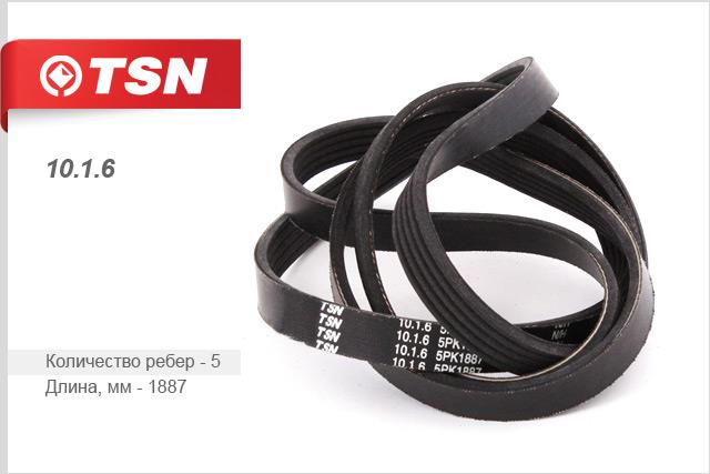 TSN 10.1.6 V-Ribbed Belt 1016