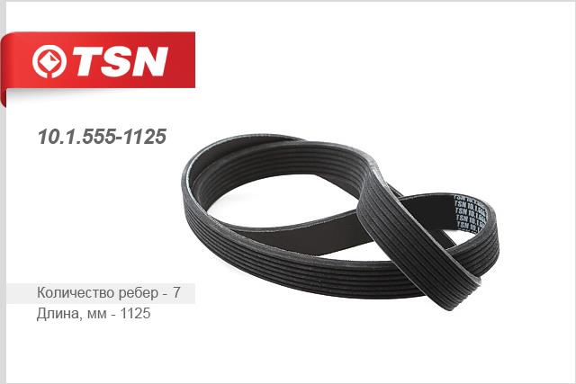 TSN 10.1.555-1125 V-Ribbed Belt 1015551125