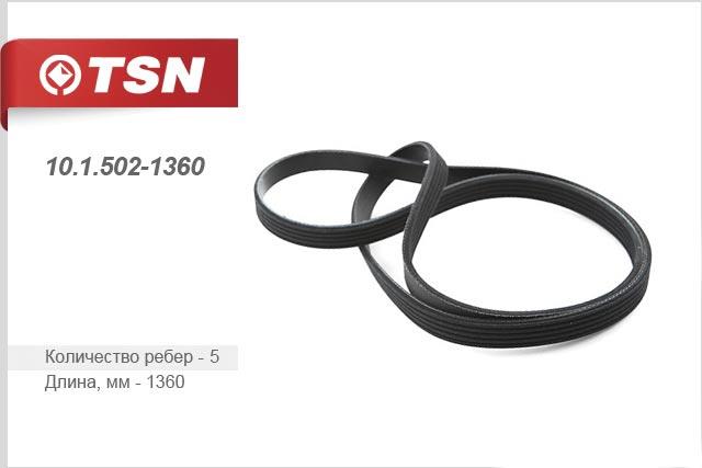 TSN 10.1.502-1360 V-Ribbed Belt 1015021360