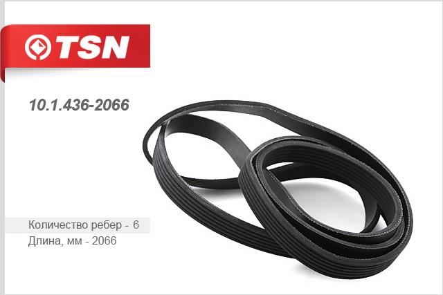 TSN 10.1.436-2066 V-Ribbed Belt 1014362066