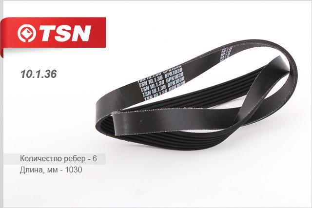 TSN 10.1.36 V-Ribbed Belt 10136
