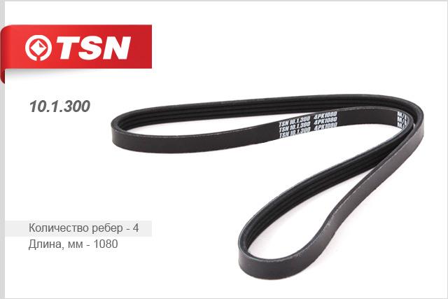 TSN 10.1.300 V-Ribbed Belt 101300