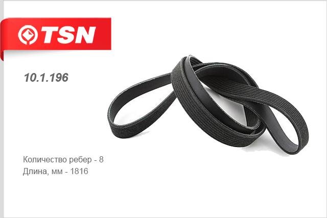 TSN 10.1.196 V-Ribbed Belt 101196