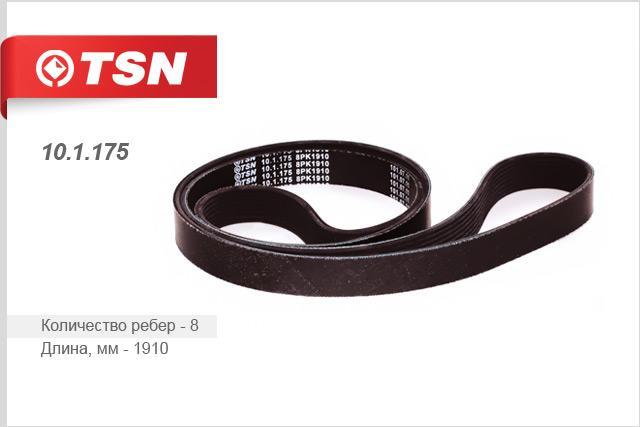 TSN 10.1.175 V-Ribbed Belt 101175