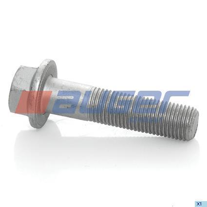 51521 Auger Bolt