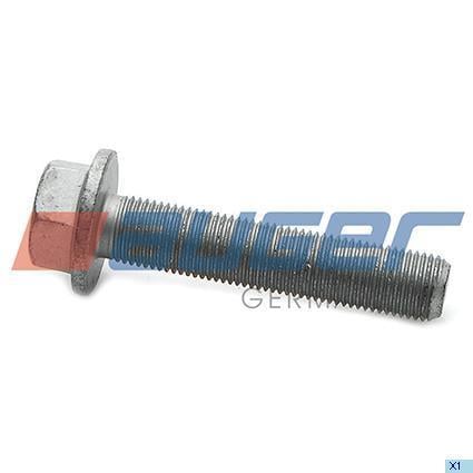 78831 Auger Bolt