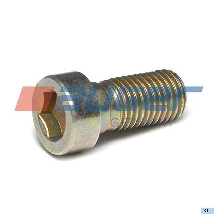 80174 Auger Bolt