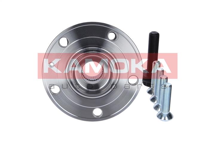 Kamoka 5500069 Wheel hub with front bearing 5500069