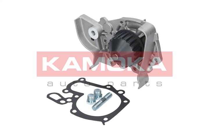 Kamoka T0243 Water pump T0243