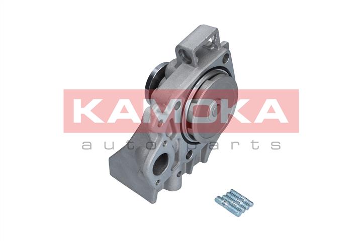 Kamoka T0120 Water pump T0120