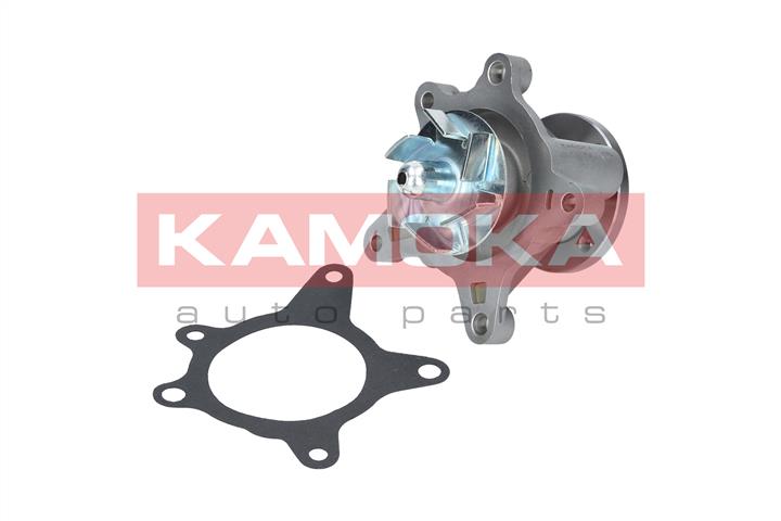 Kamoka T0163 Water pump T0163