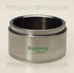 Triscan 8170 235101 Brake caliper piston 8170235101