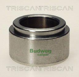 Triscan 8170 234802 Brake caliper piston 8170234802