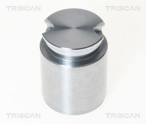 Triscan 8170 233631 Brake caliper piston 8170233631