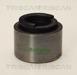 Triscan 8170 234203 Brake caliper piston 8170234203