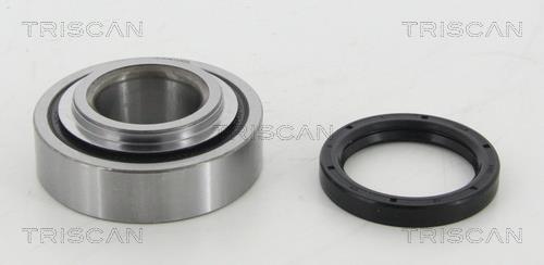 Triscan 8530 41208 Wheel bearing kit 853041208