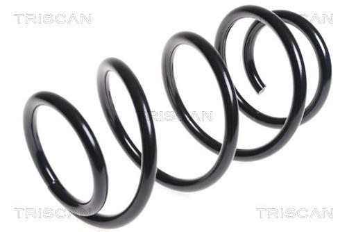 Triscan 8750 14100 Suspension spring front 875014100