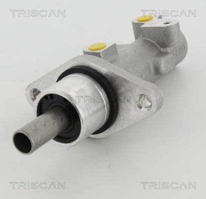 Triscan 8130 29163 Brake Master Cylinder 813029163