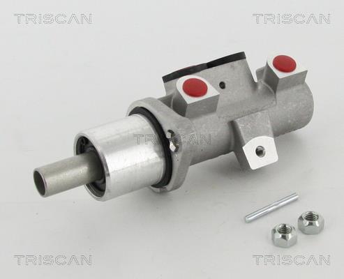 Triscan 8130 29167 Brake Master Cylinder 813029167