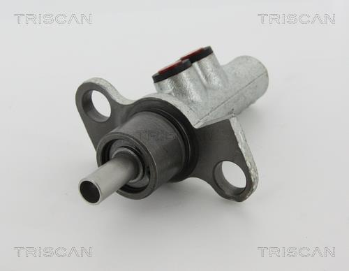 Triscan 8130 29173 Brake Master Cylinder 813029173
