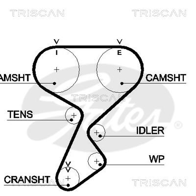 Triscan 8645 5487XS Timing belt 86455487XS