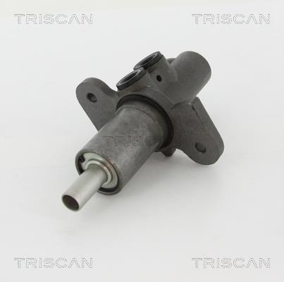 Triscan 8130 11137 Brake Master Cylinder 813011137