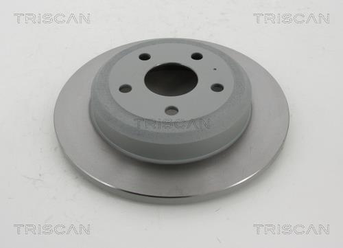 Triscan 8120 101073C Rear brake disc, non-ventilated 8120101073C