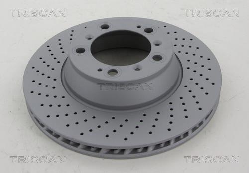 Triscan 8120 101077C Rear ventilated brake disc 8120101077C