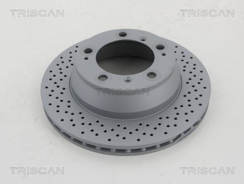 Triscan 8120 101081C Rear ventilated brake disc 8120101081C